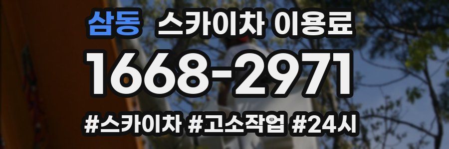 삼동 스카이차 이용료