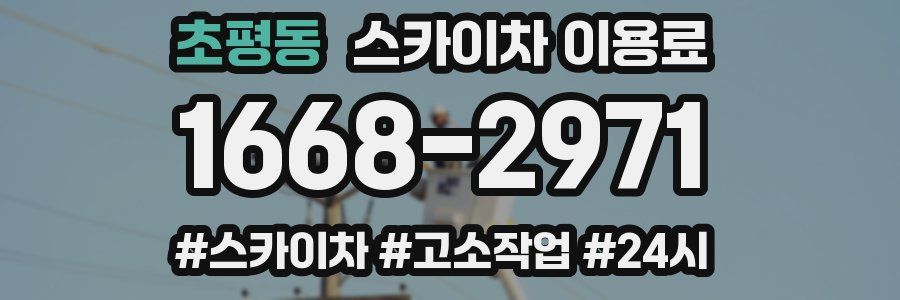 초평동 스카이차 이용료