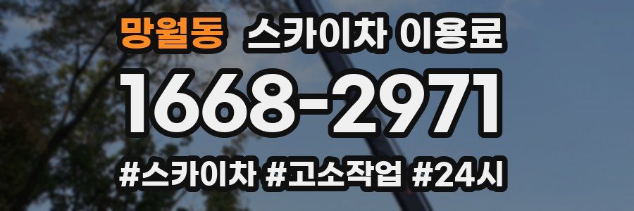 망월동 스카이차 이용료