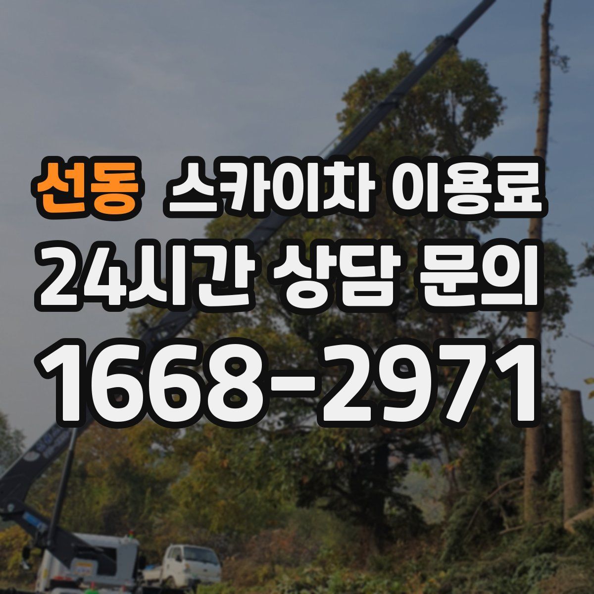선동 스카이차 이용료