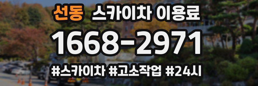 선동 스카이차 이용료