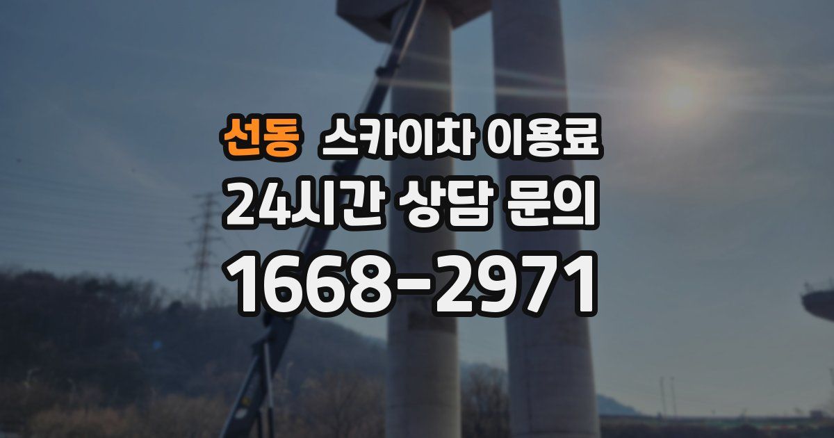 선동 스카이차 이용료