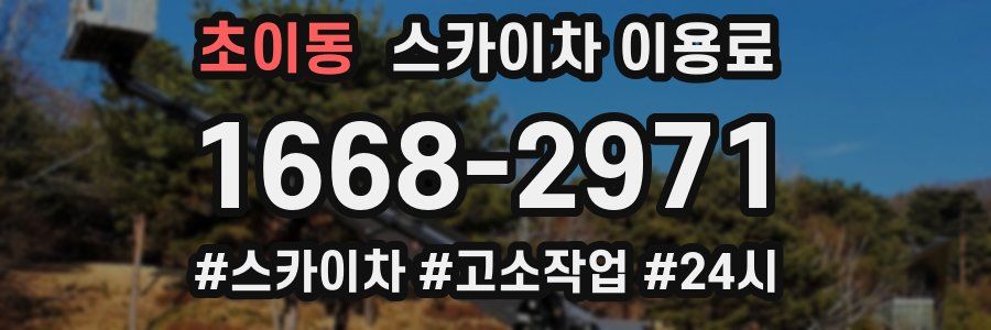 초이동 스카이차 이용료