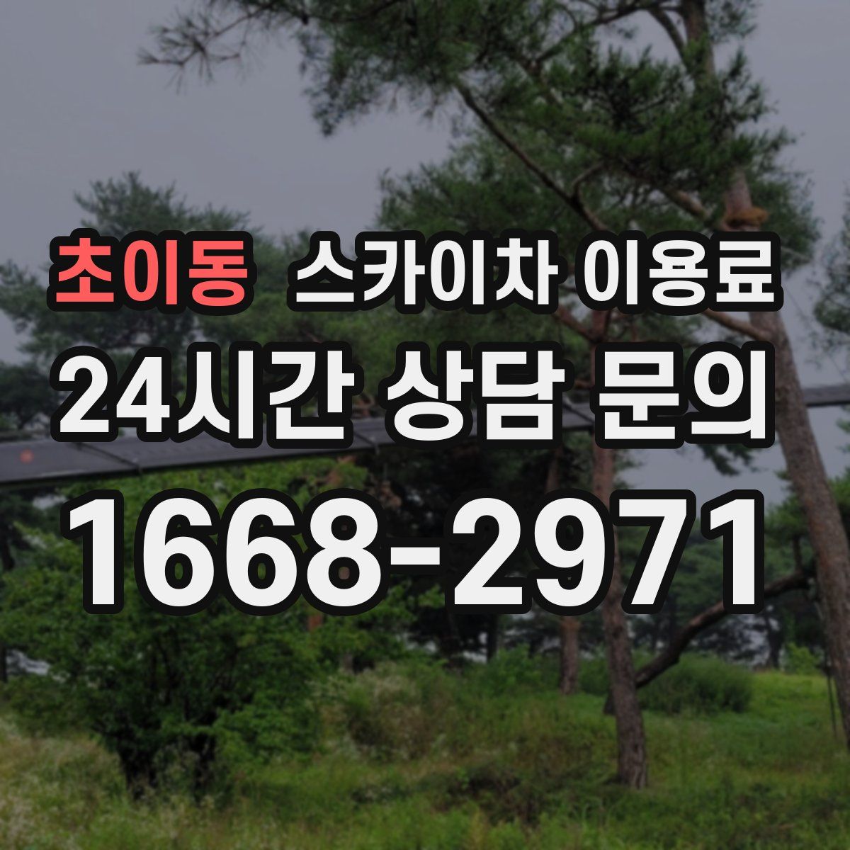 초이동 스카이차 이용료