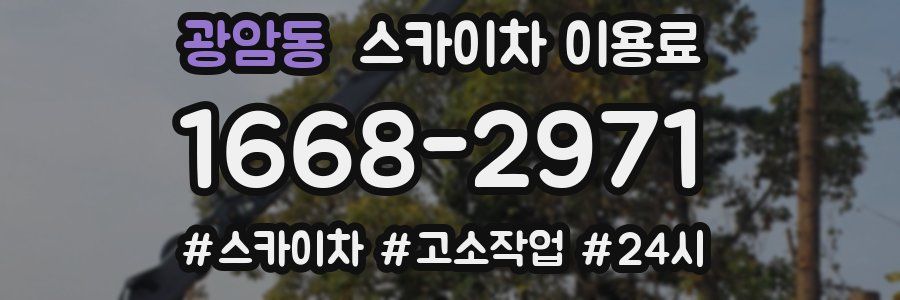 광암동 스카이차 이용료