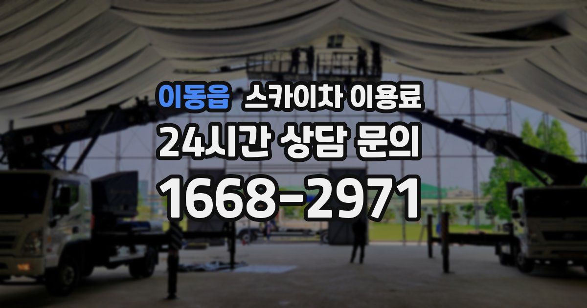 이동읍 스카이차 이용료