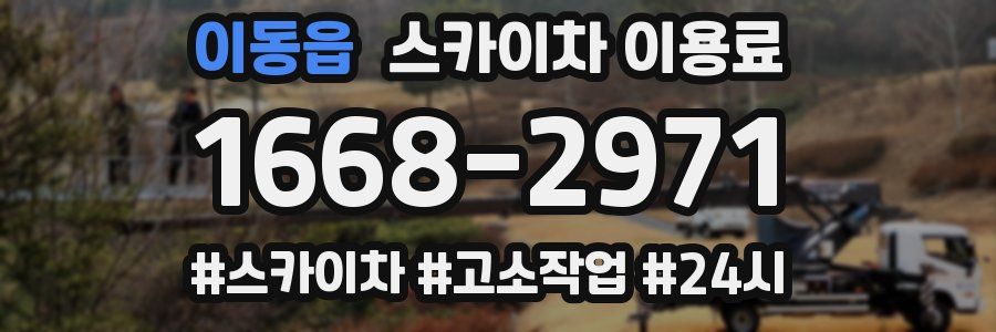 이동읍 스카이차 이용료