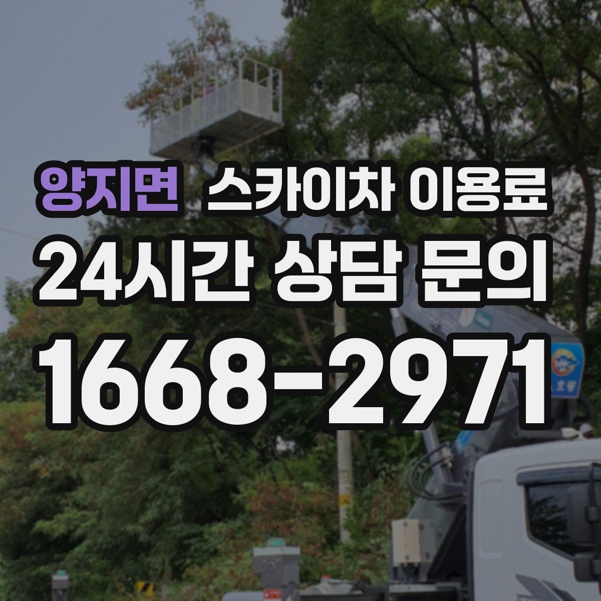 양지면 스카이차 이용료