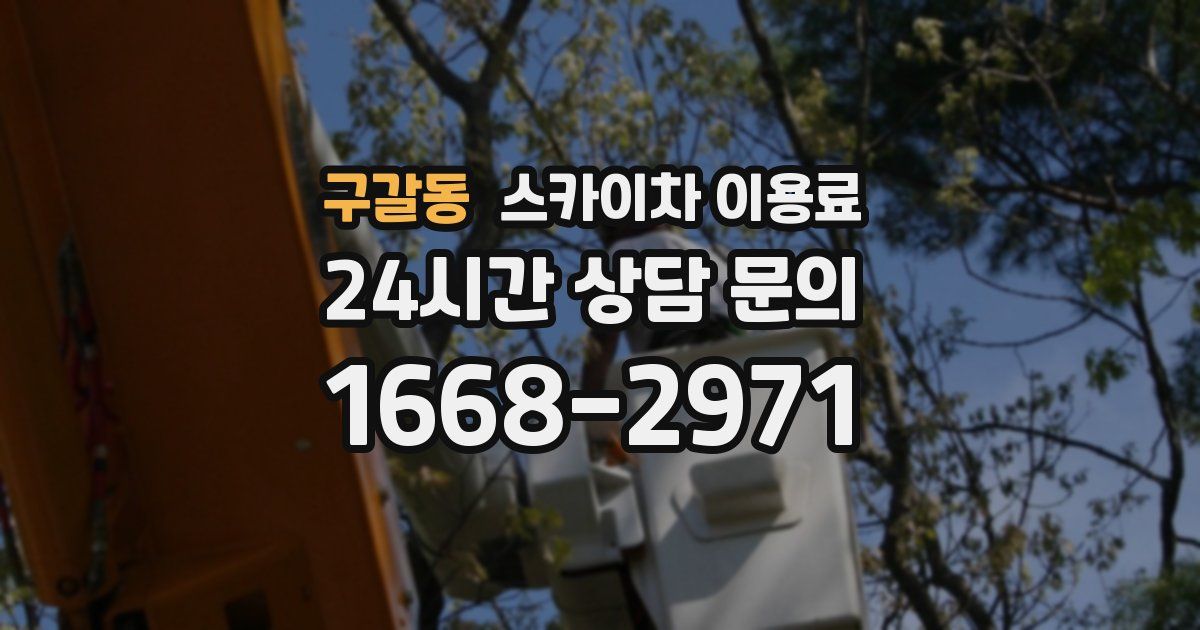 구갈동 스카이차 이용료