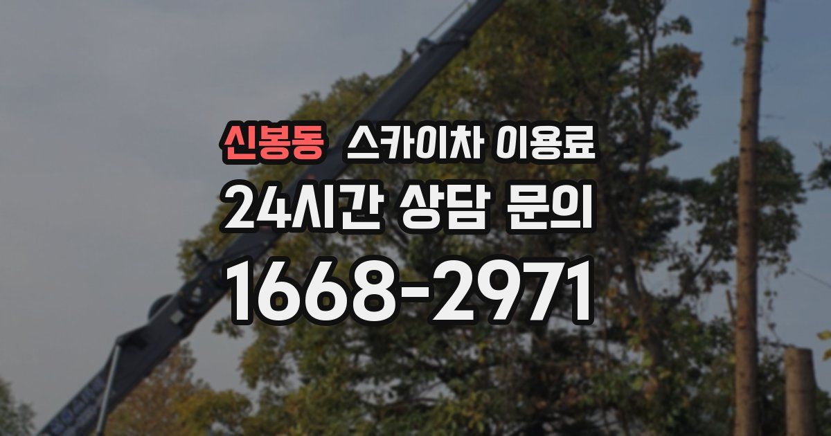 신봉동 스카이차 이용료