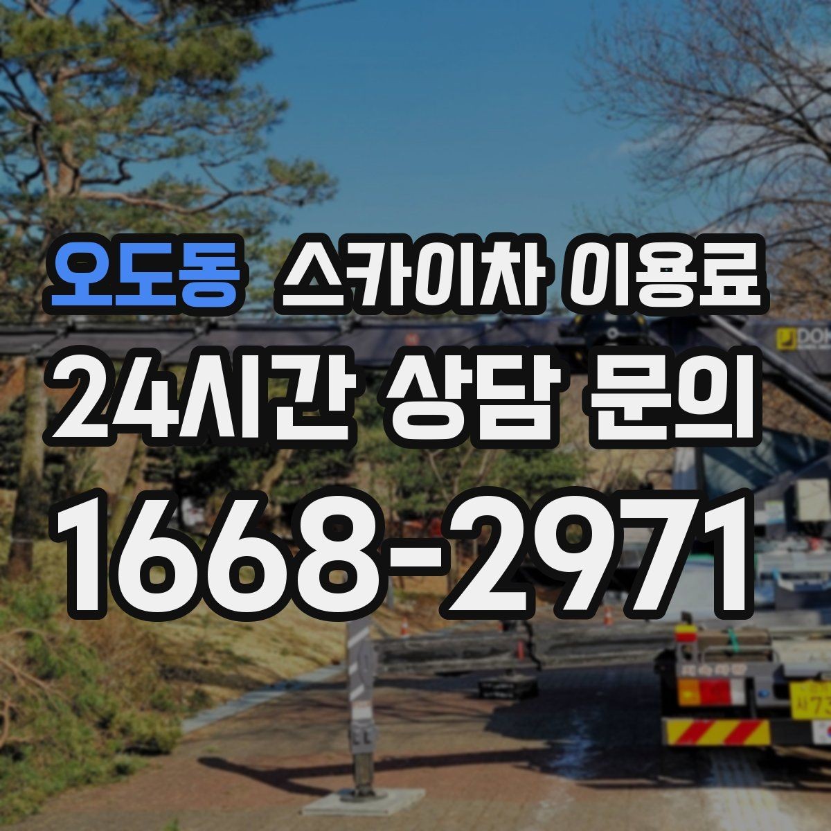 오도동 스카이차 이용료 문의 시 시간 절약하는 준비 팁