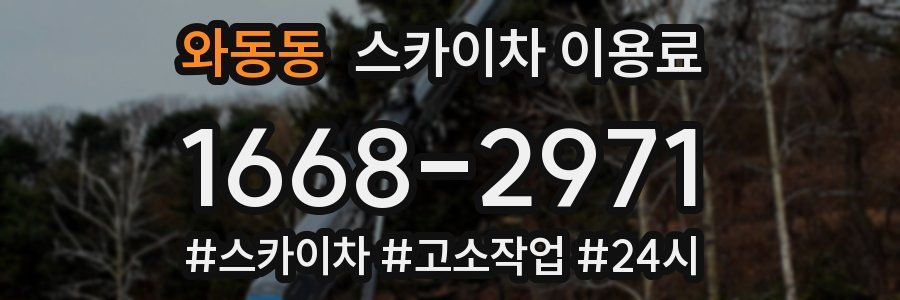 와동동 스카이차 이용료