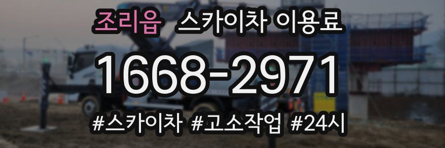 조리읍 스카이차 이용료