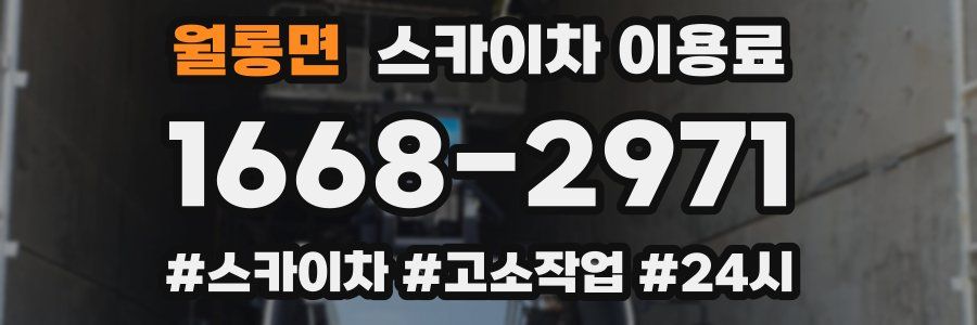 월롱면 스카이차 이용료