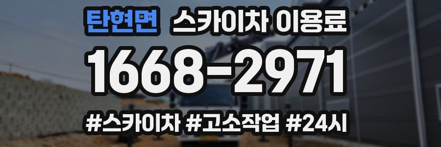 탄현면 스카이차 이용료