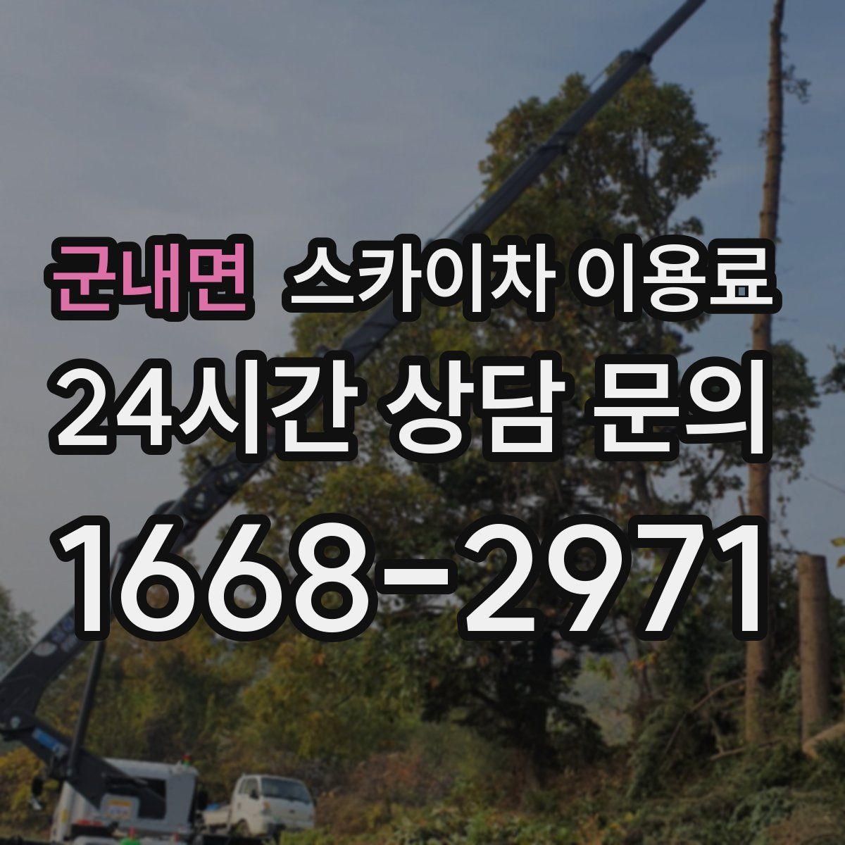 군내면 스카이차 이용료