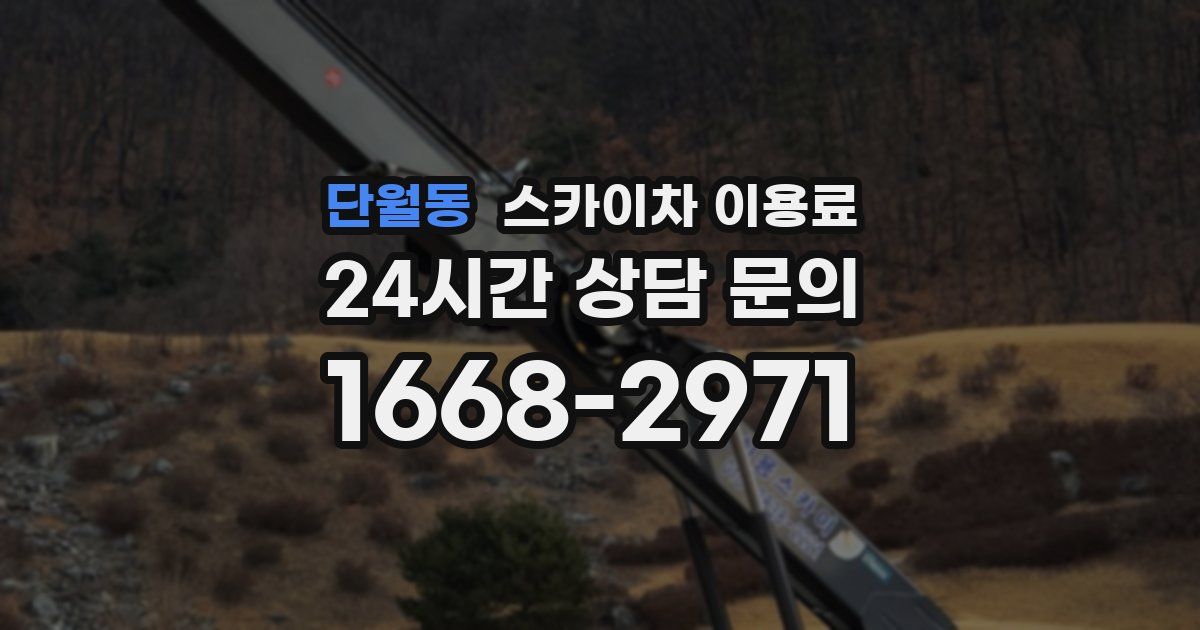 단월동 스카이차 이용료