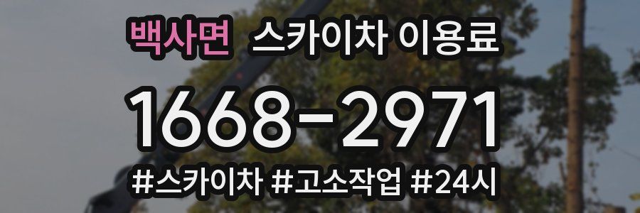 백사면 스카이차 이용료