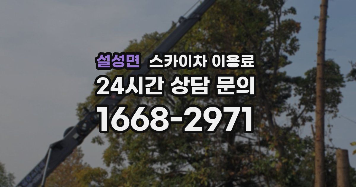 설성면 스카이차 이용료