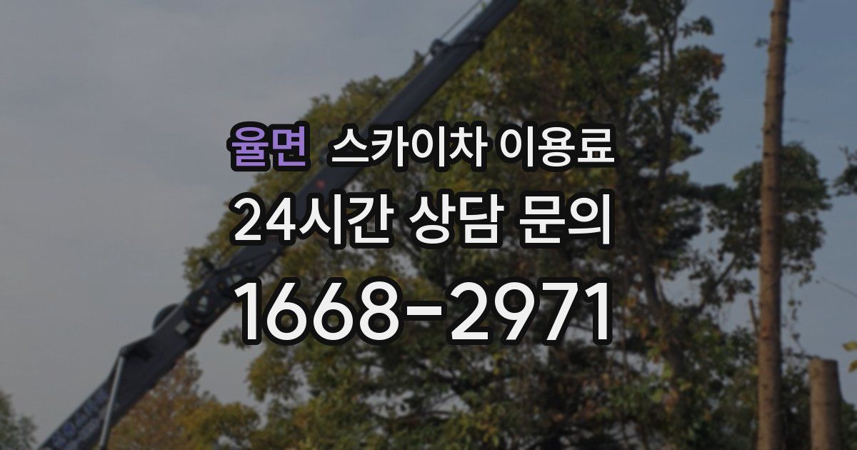율면 스카이차 이용료