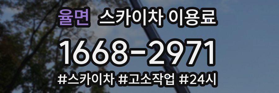 율면 스카이차 이용료