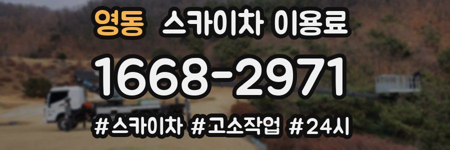 영동 스카이차 이용료
