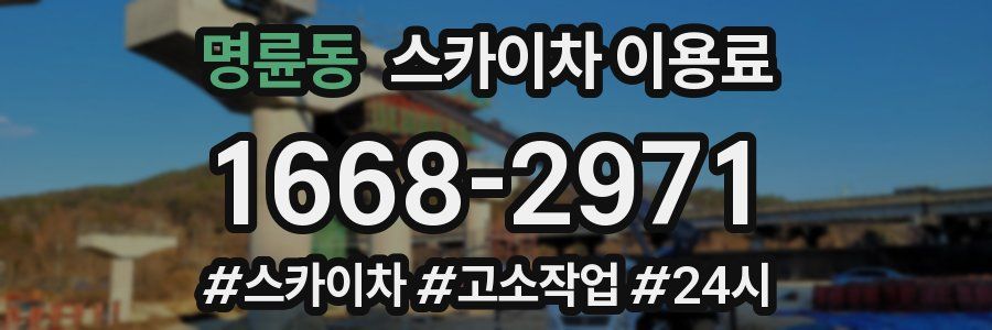 명륜동 스카이차 이용료