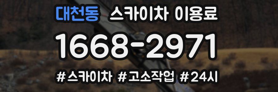 대천동 스카이차 이용료