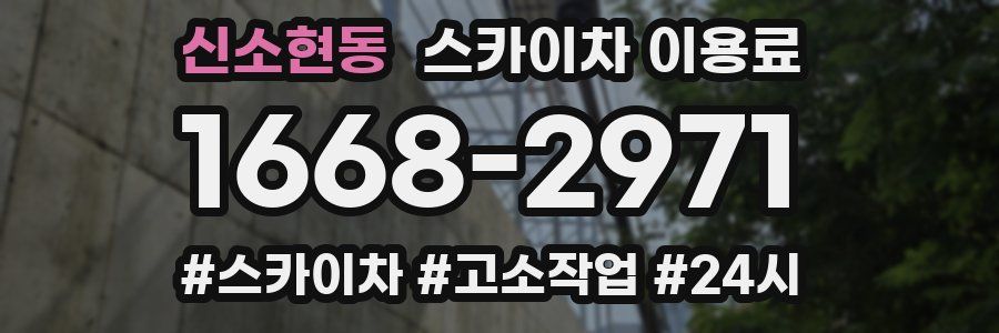 신소현동 스카이차 이용료
