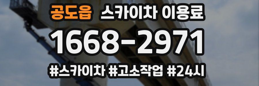 공도읍 스카이차 이용료