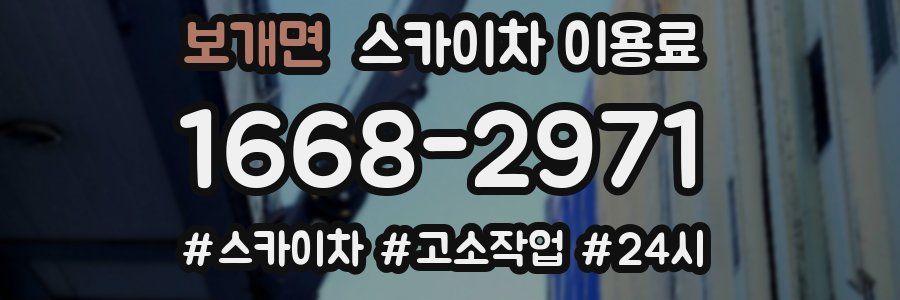 보개면 스카이차 이용료