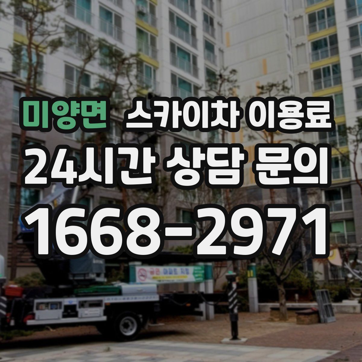 미양면 스카이차 이용료
