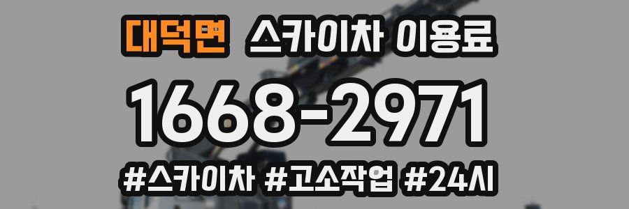 대덕면 스카이차 이용료