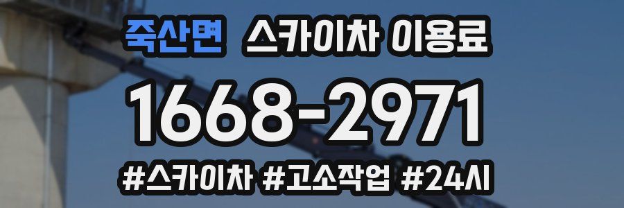 죽산면 스카이차 이용료