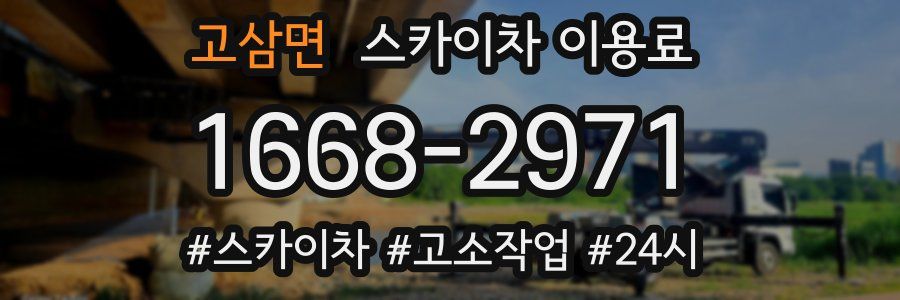 고삼면 스카이차 이용료