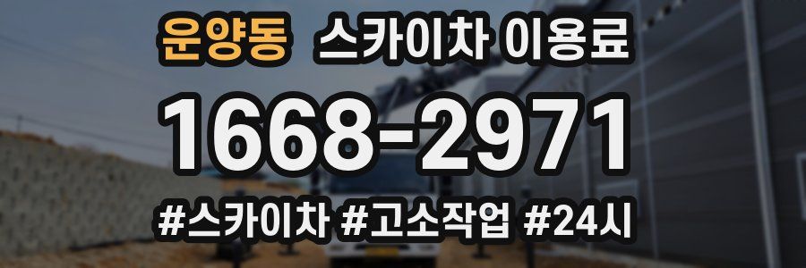 운양동 스카이차 이용료