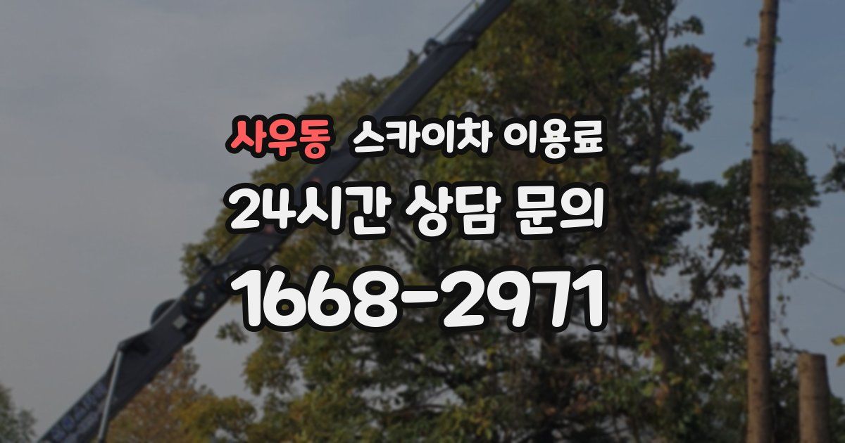 사우동 스카이차 이용료