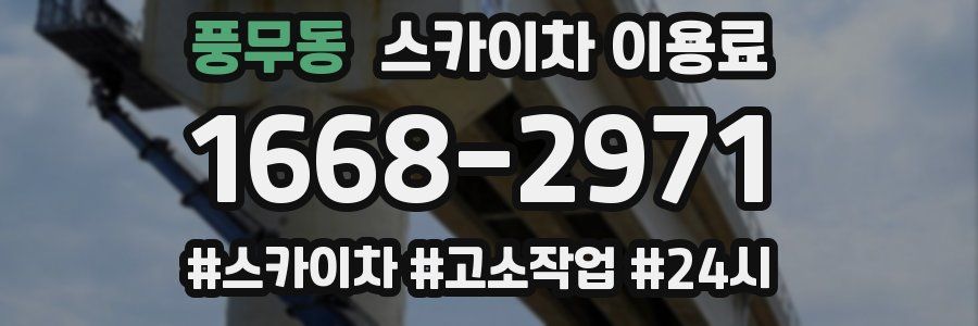 풍무동 스카이차 이용료