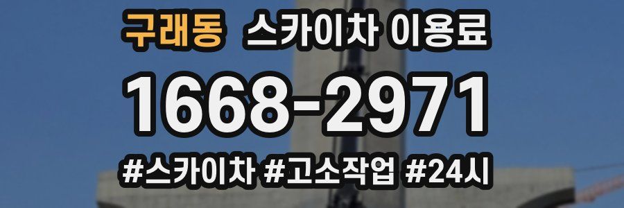 구래동 스카이차 이용료