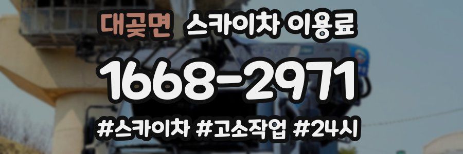 대곶면 스카이차 이용료