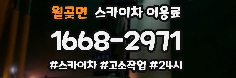 월곶면 스카이차 이용료