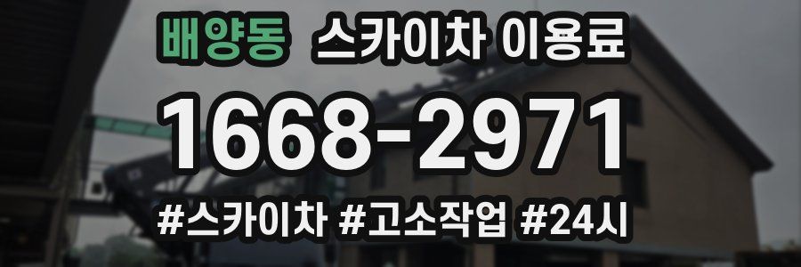 배양동 스카이차 이용료