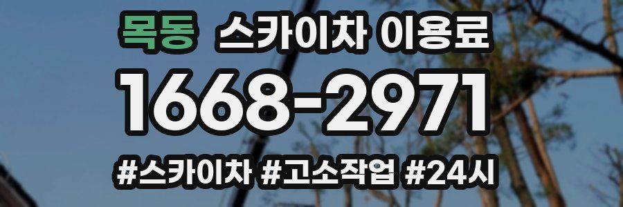 목동 스카이차 이용료