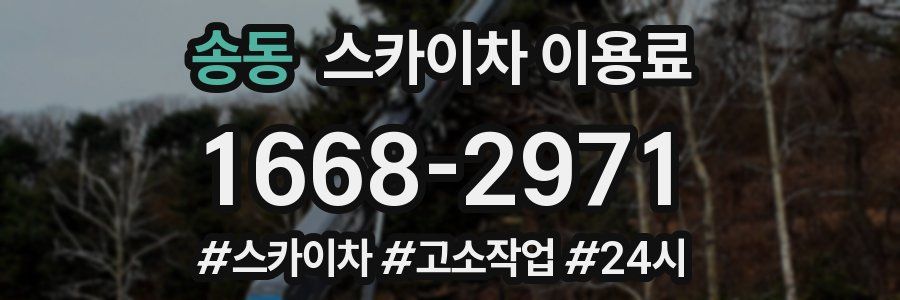 송동 스카이차 이용료