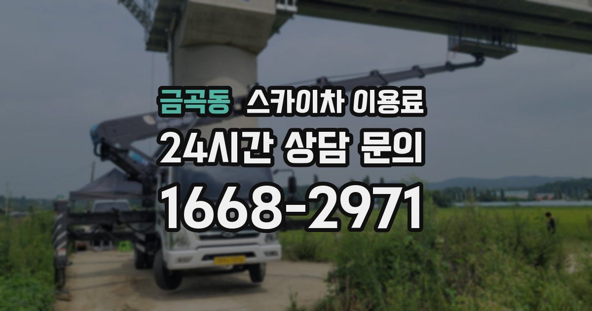 금곡동 스카이차 이용료