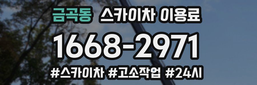 금곡동 스카이차 이용료