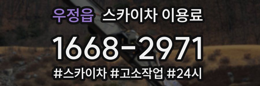 우정읍 스카이차 이용료