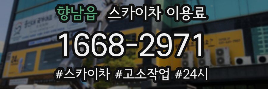 향남읍 스카이차 이용료
