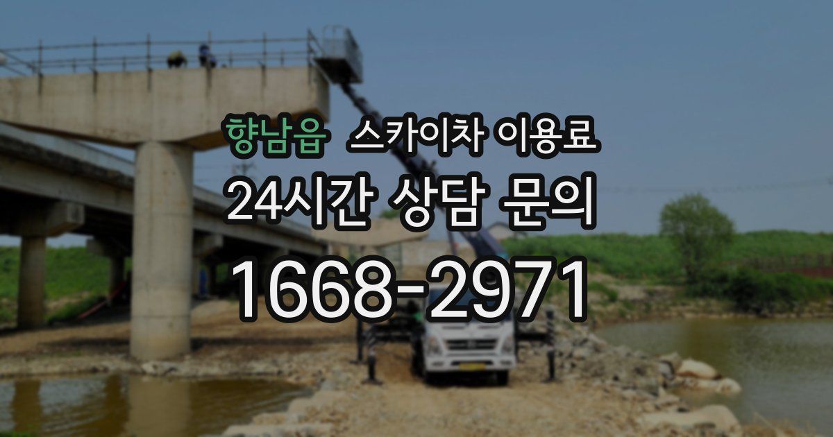 향남읍 스카이차 이용료
