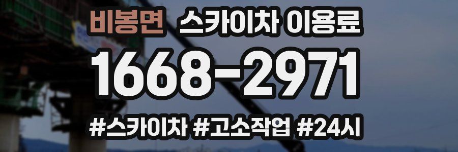 비봉면 스카이차 이용료